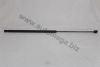 AUTOMEGA 3082303591K0A Gas Spring, bonnet